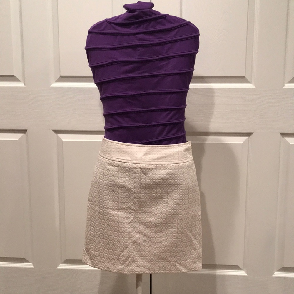 Ann Taylor Dress Skirt